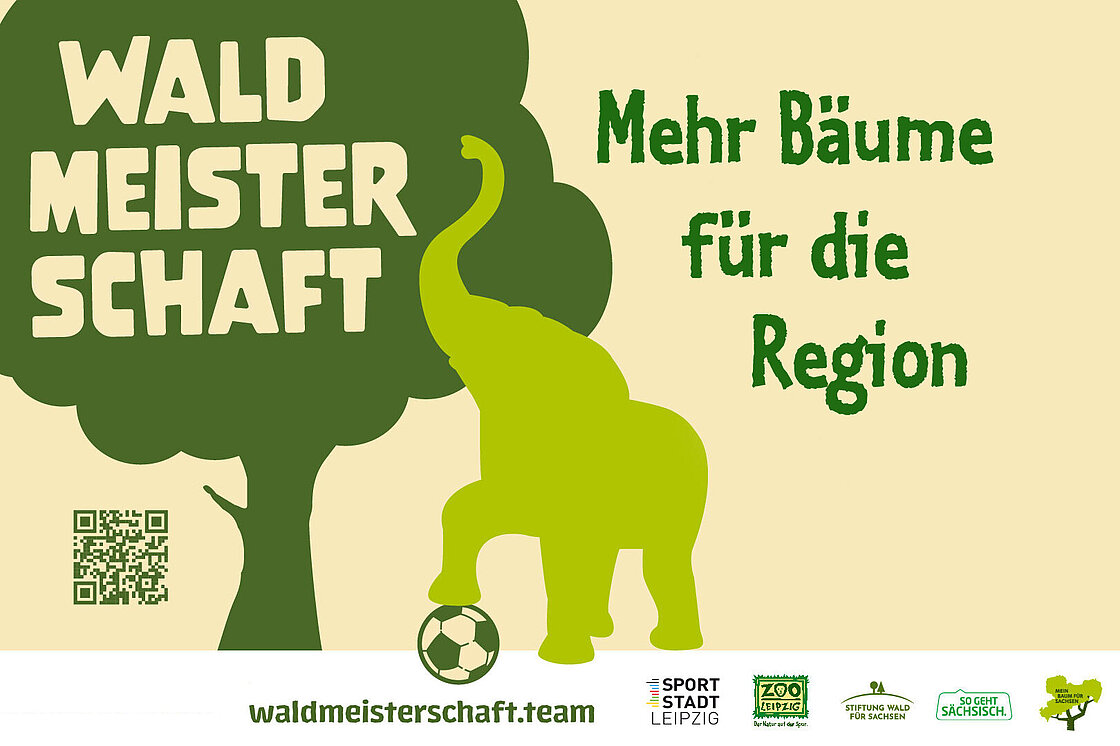 Zoo Leipzig  Waldmeisterschaft: Bäume spenden und am 22. November mitpflanzen