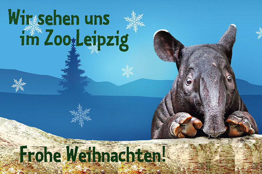 © Zoo Leipzig GmbH