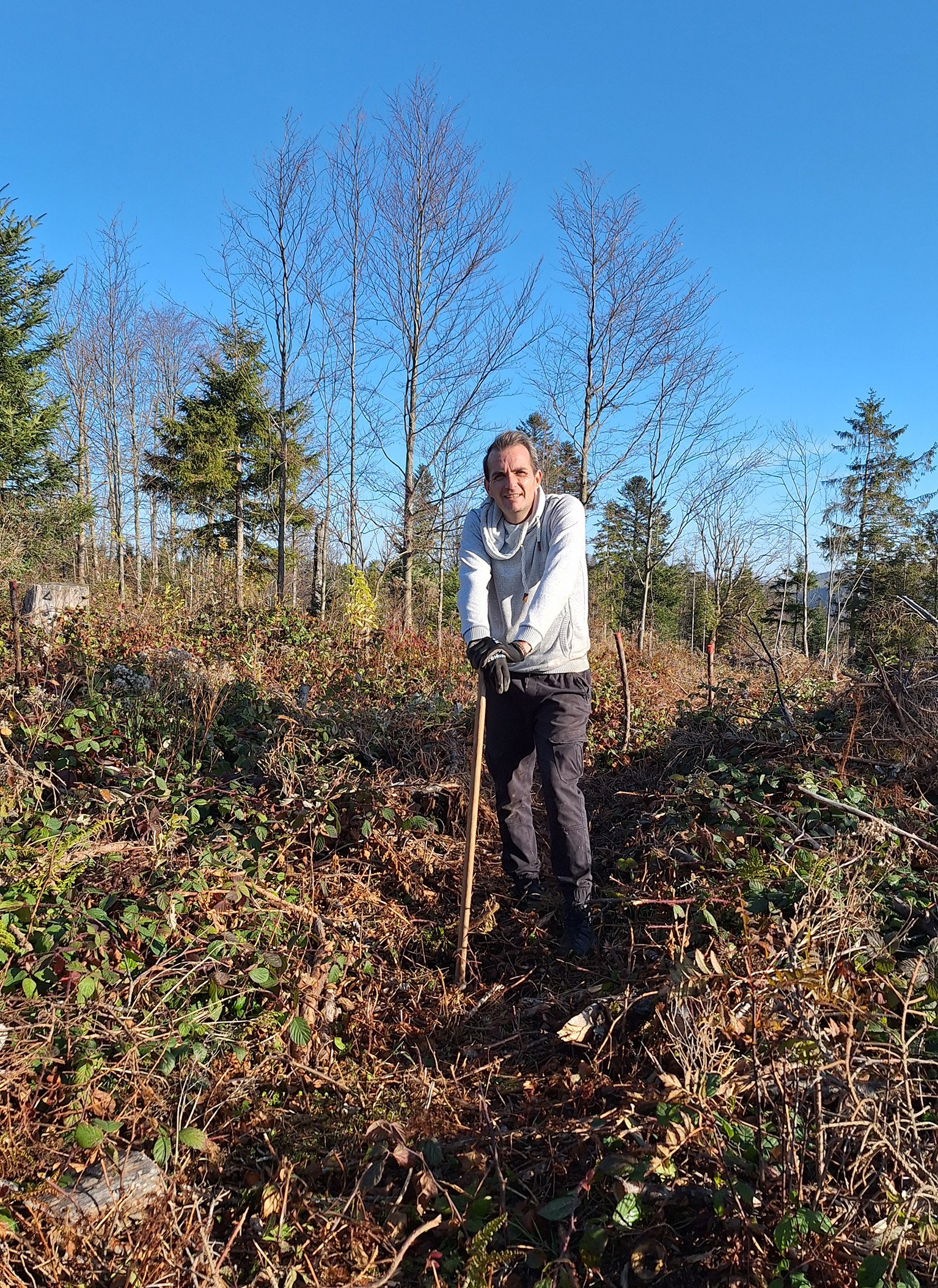 pk24_1000_neue_baeume_fuer_den_schwarzwald_26-11-2024_1