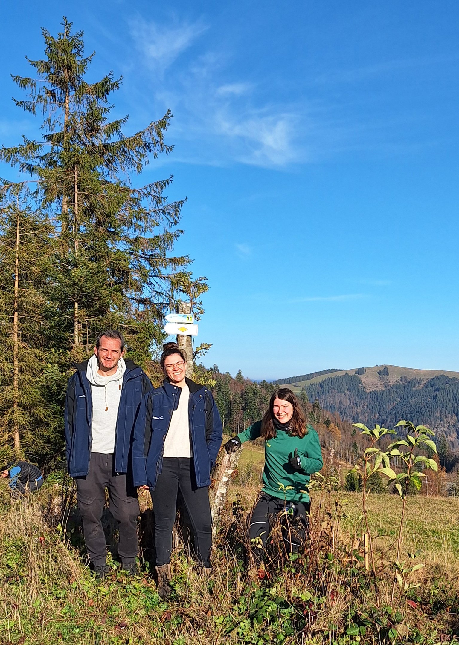 pk24_1000_neue_baeume_fuer_den_schwarzwald_26-11-2024_2