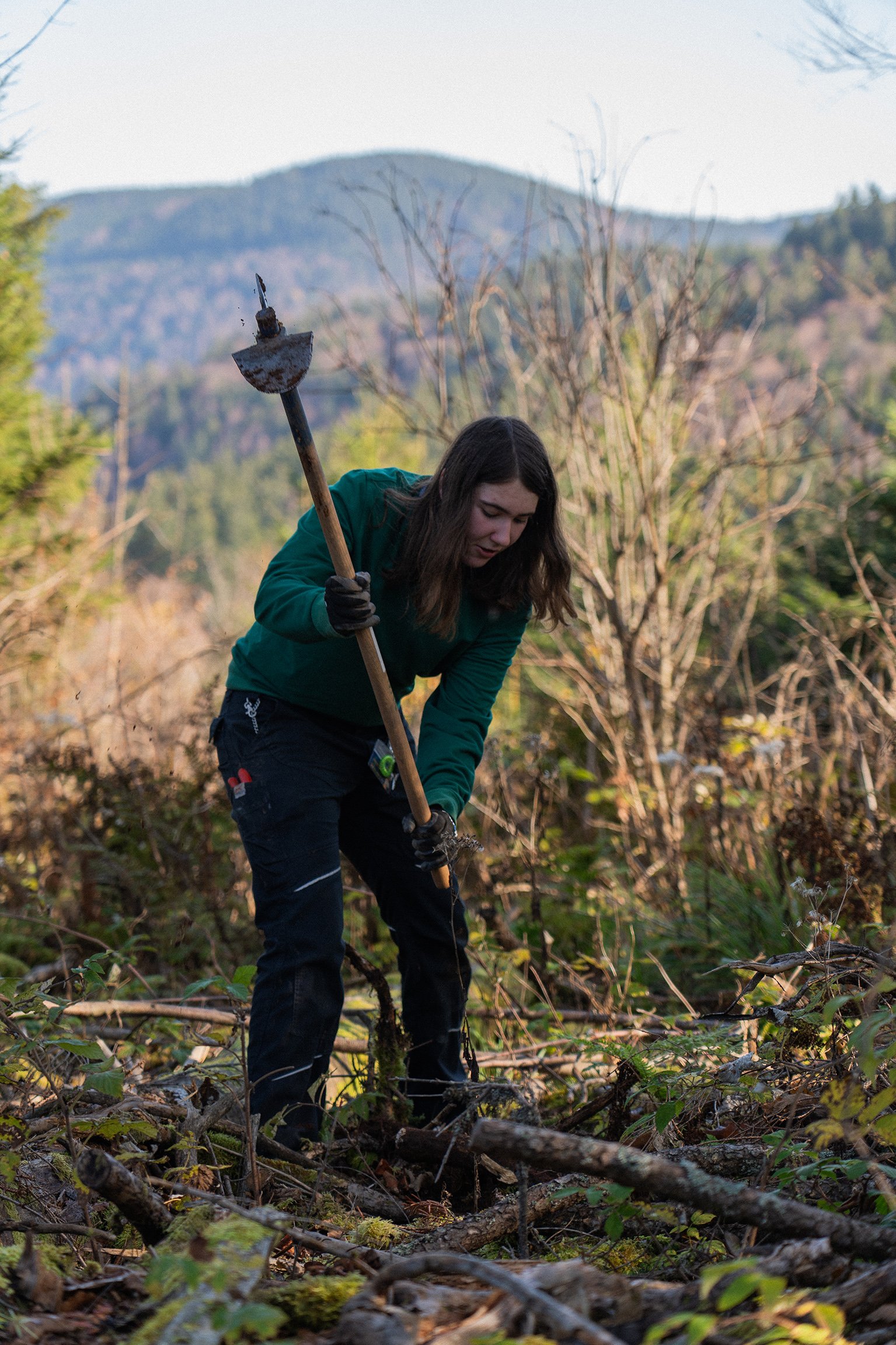 pk24_1000_neue_baeume_fuer_den_schwarzwald_26-11-2024_3