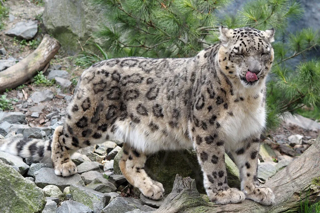 © Zoo Leipzig GmbH