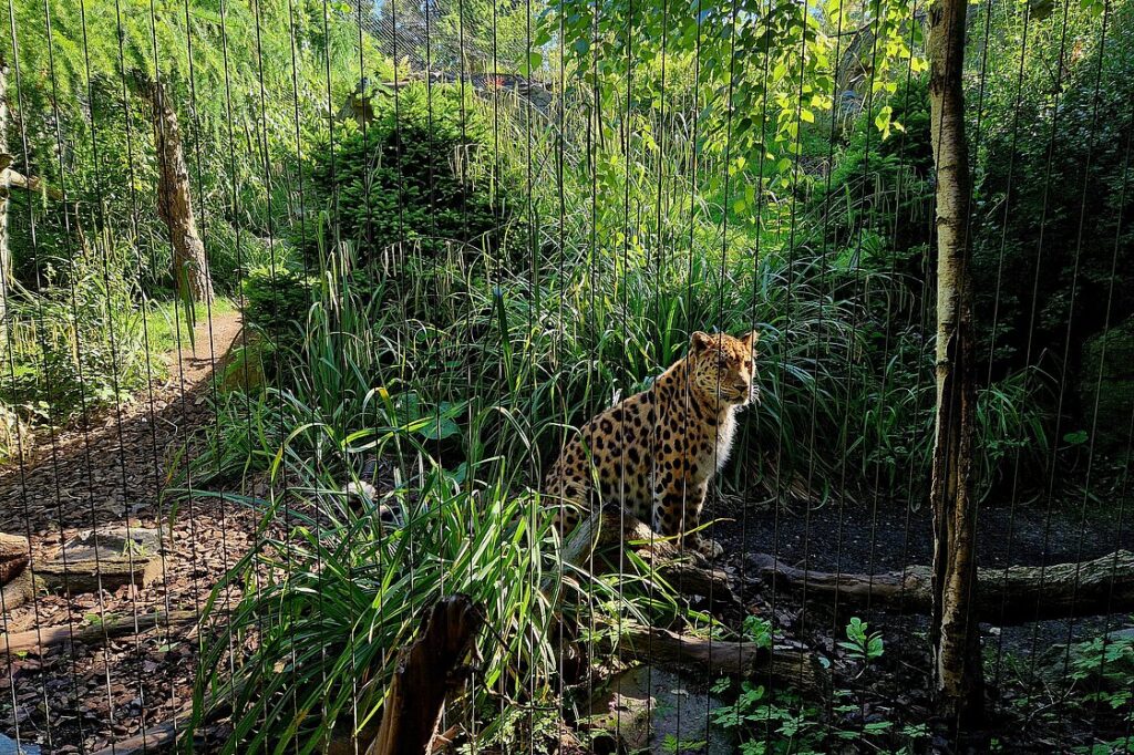 © Zoo Leipzig GmbH