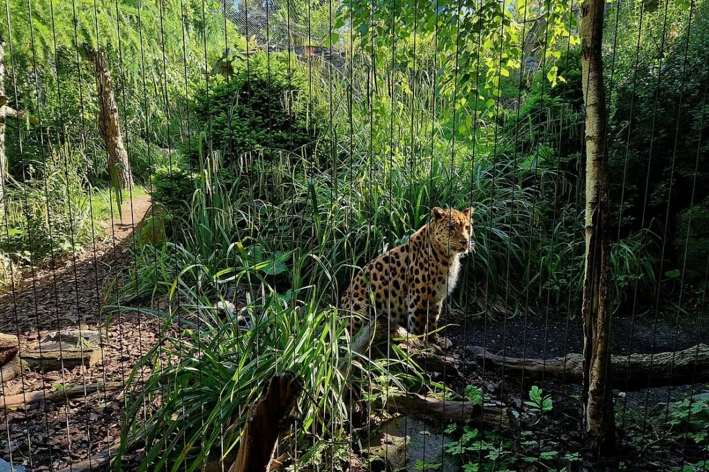 © Zoo Leipzig GmbH