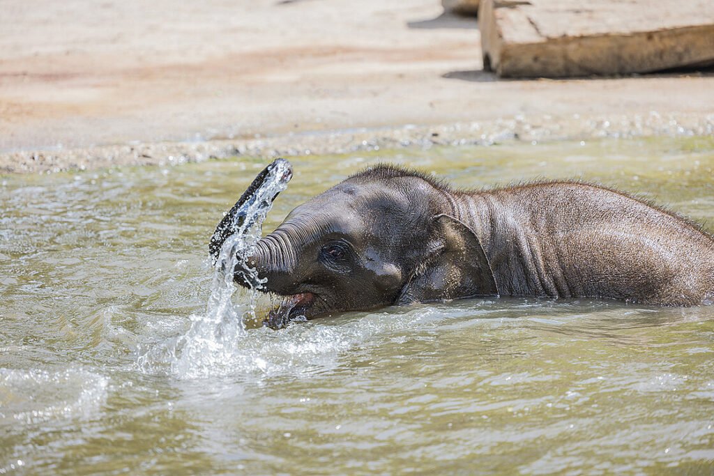 © Zoo Leipzig GmbH