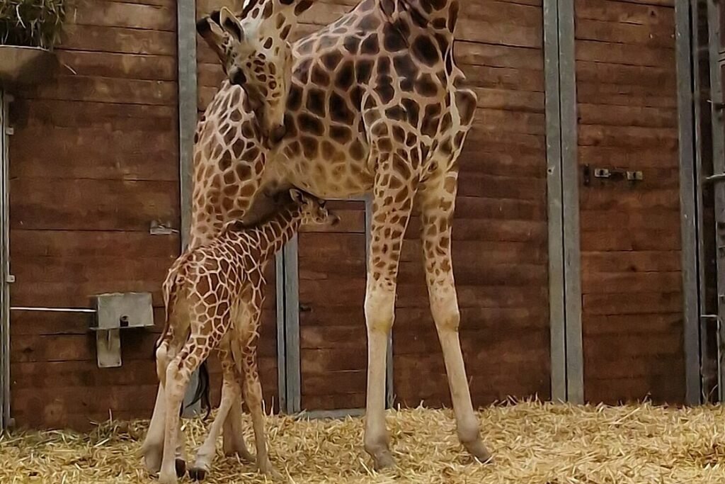 © Zoo Leipzig GmbH