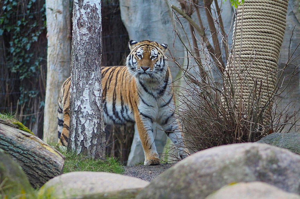 © Zoo Leipzig GmbH
