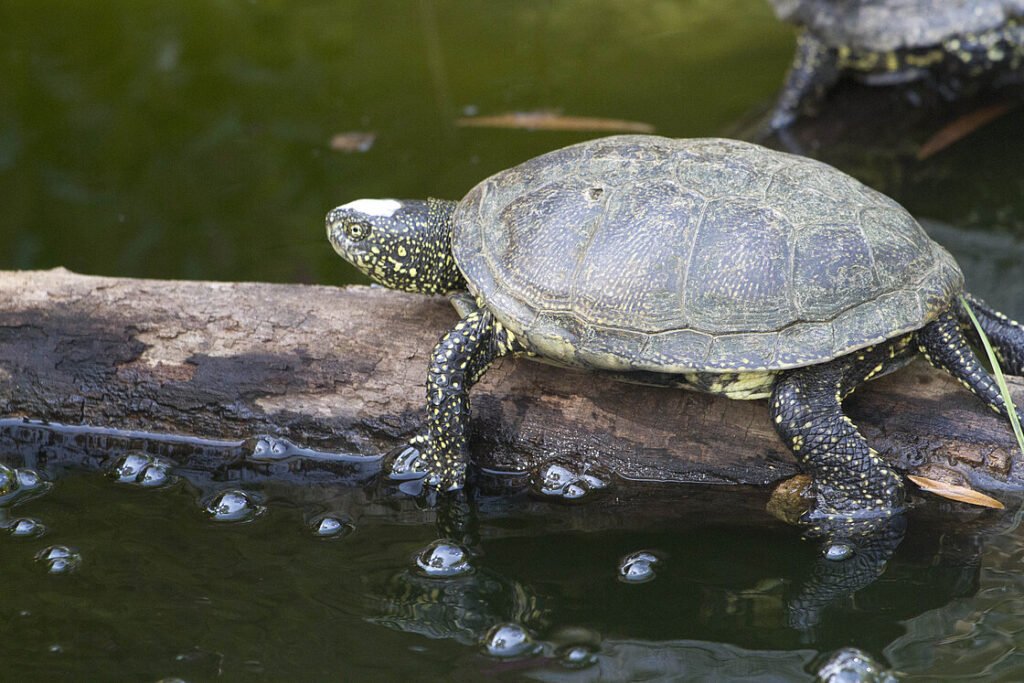 © Zoo Leipzig GmbH