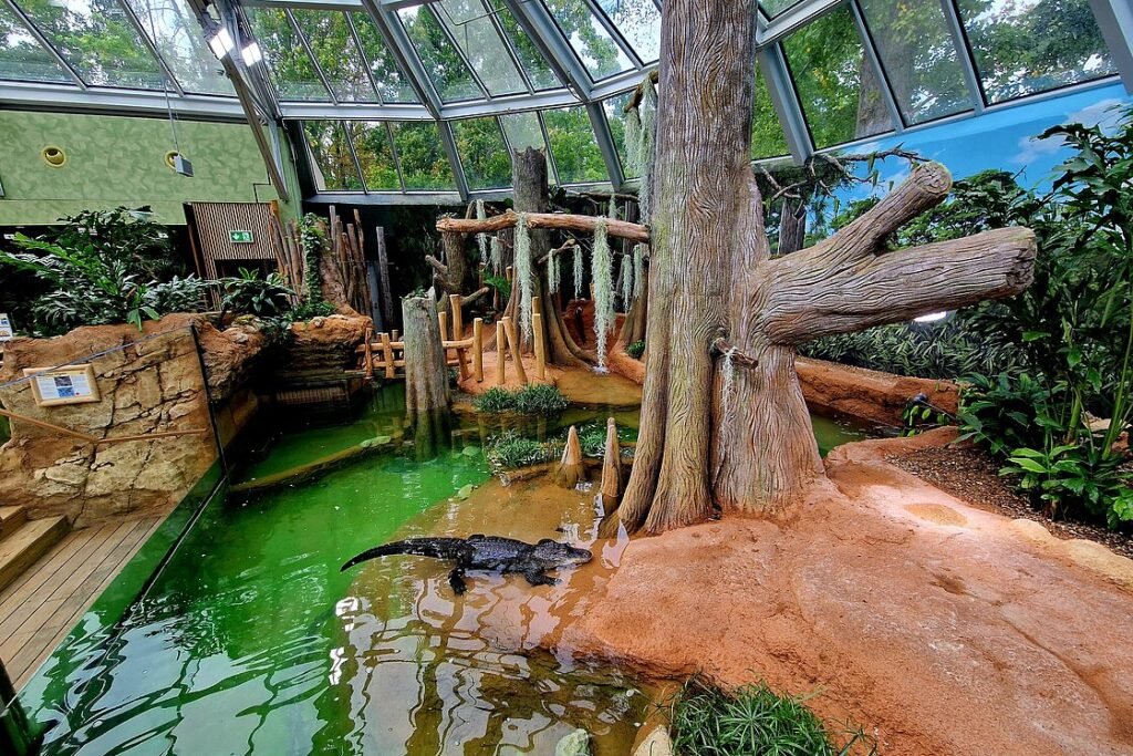 © Zoo Leipzig GmbH