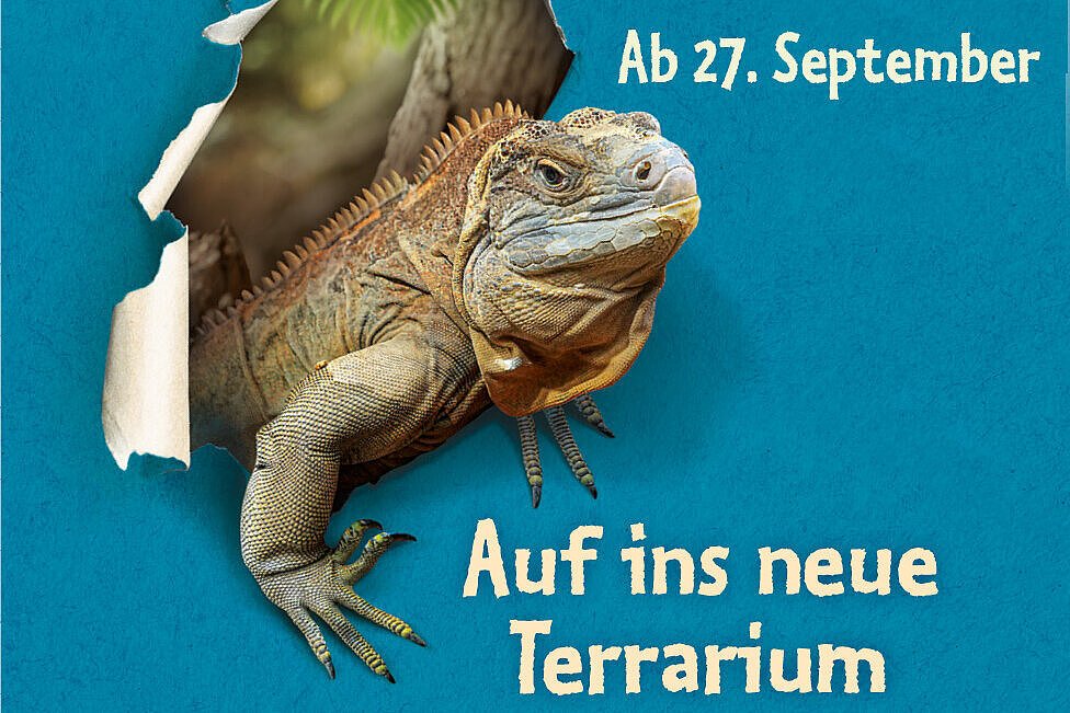 © Zoo Leipzig GmbH