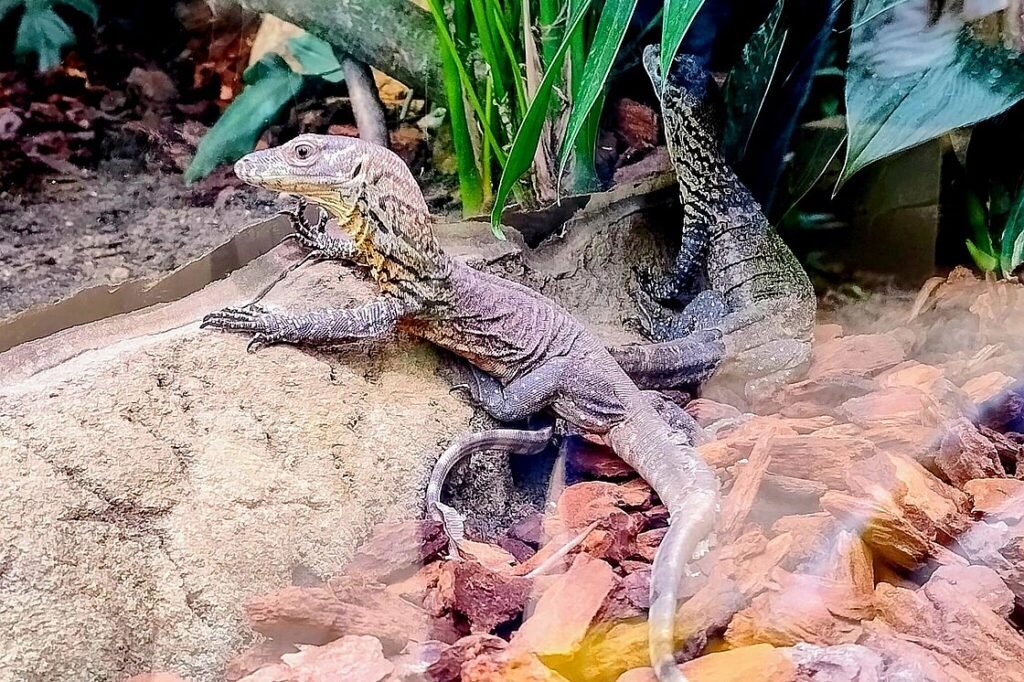 © Zoo Leipzig GmbH