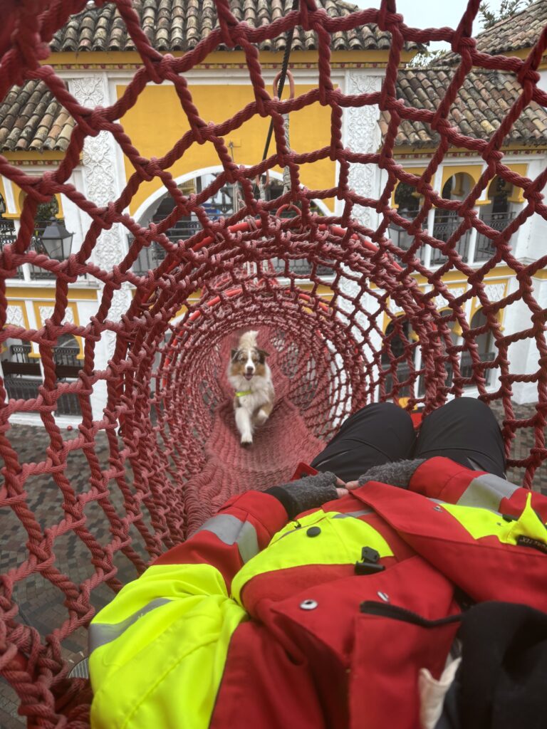 Rüde Newt findet die vermisste Person in einem schwer zugänglichen Kletternetz © Europa-Park GmbH & Co Mack KG