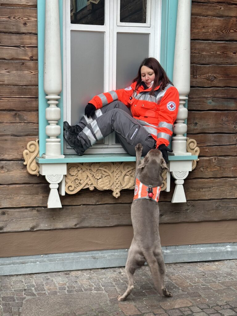 Der Rettungshund hat die Suche erfolgreich beendet © Europa-Park GmbH & Co Mack KG